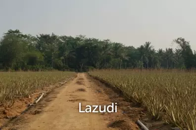 Land for sale 57 Rai and 395 sqw. with Mountain view