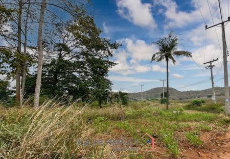 Good Land Size With Beautiful Mountain View On Soi 156