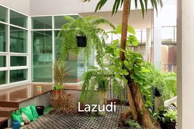 3 Bed 3 Bath 320 SQ.M House in Sukhumvit 49/14
