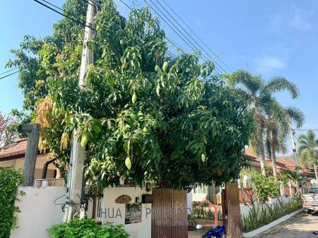 Baan Araya : 3 Bed Pool Villa On Soi 102