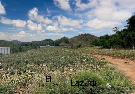 Hillside Land For Sale With Stunning Views