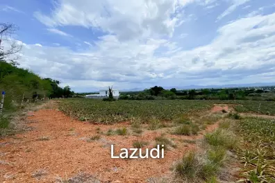Hillside Land For Sale With Stunning Views