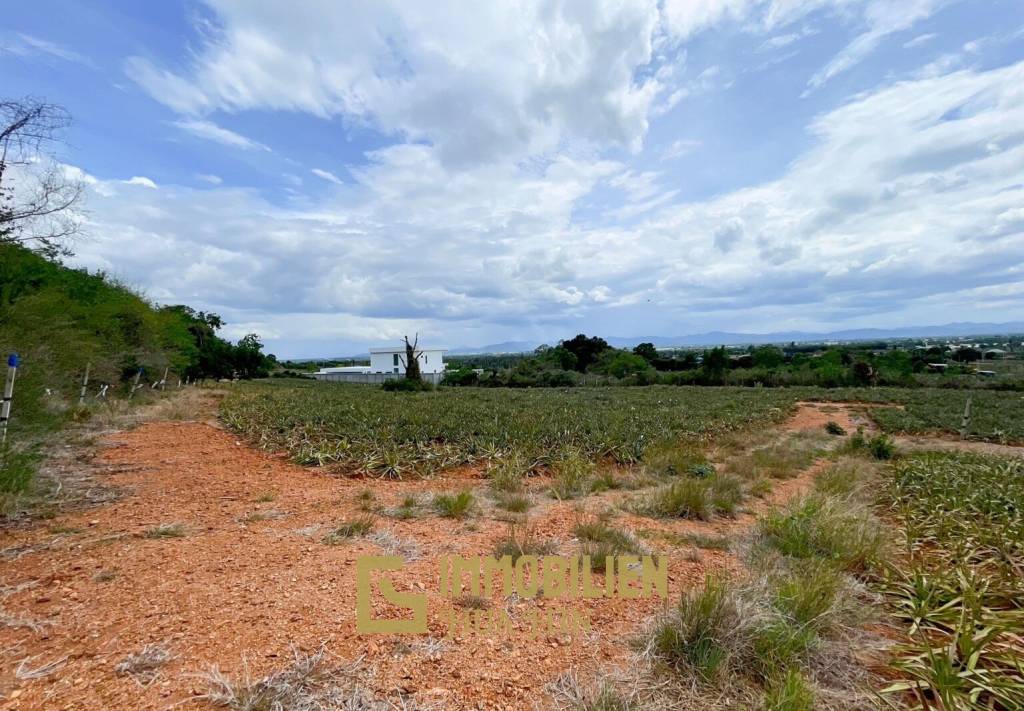 Hillside Land For Sale With Stunning Views