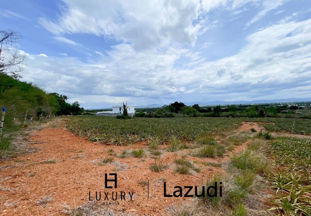 Hillside Land For Sale With Stunning Views