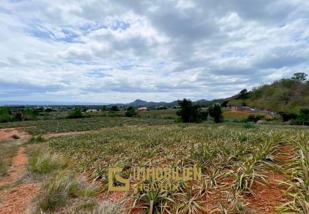 Hillside Land For Sale With Stunning Views