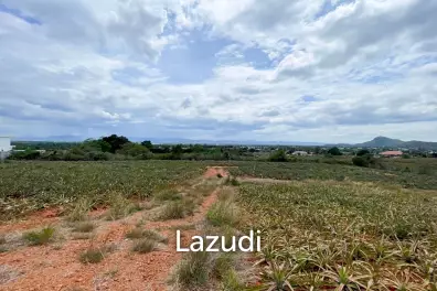 Hillside Land For Sale With Stunning Views