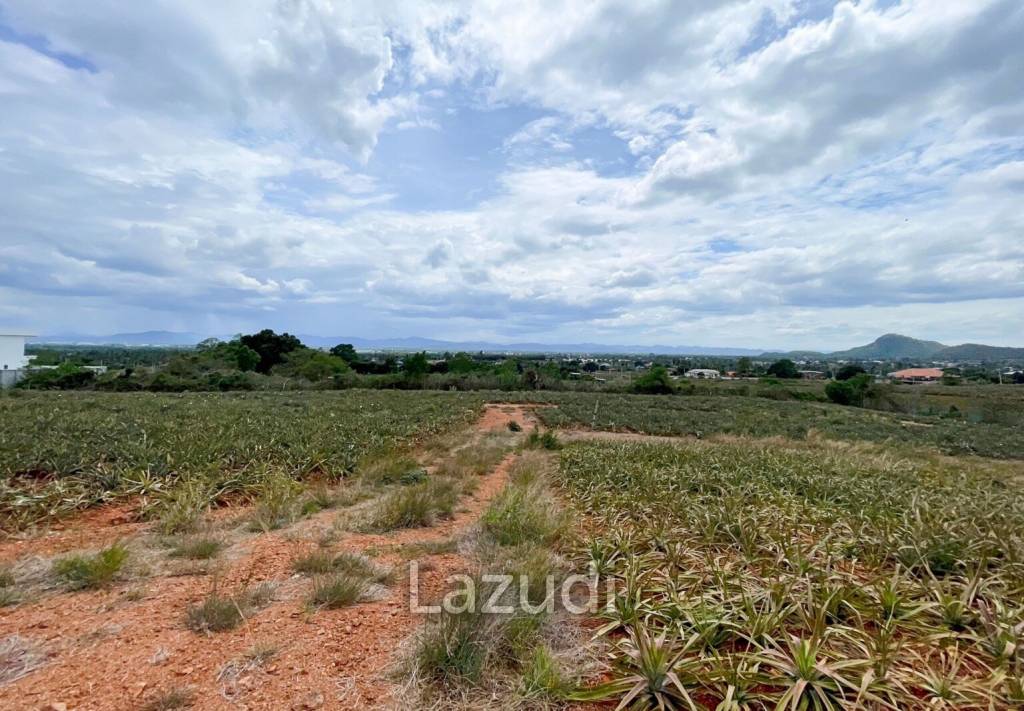 Hillside Land For Sale With Stunning Views