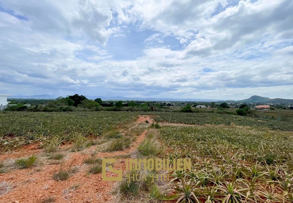 Hillside Land For Sale With Stunning Views