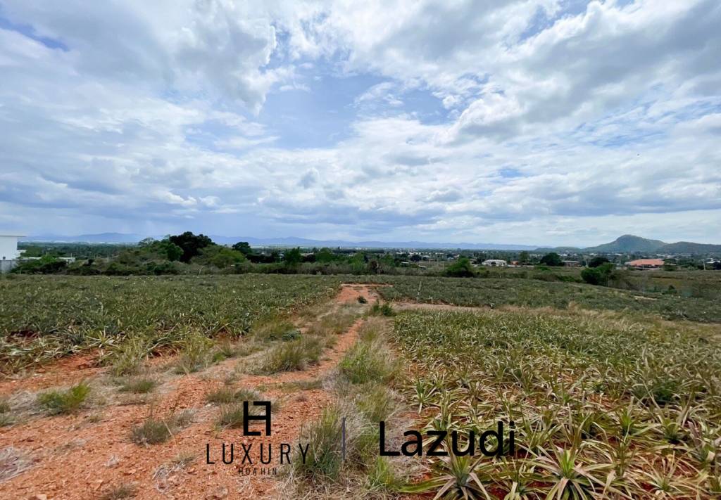 Hillside Land For Sale With Stunning Views