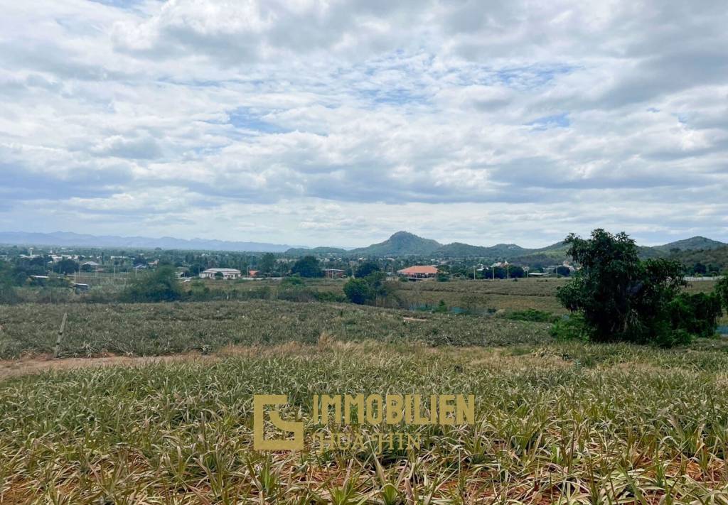 Hillside Land For Sale With Stunning Views