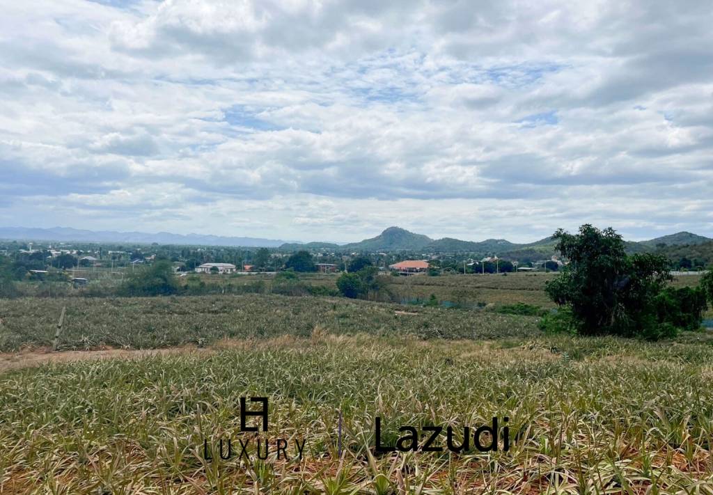 Hillside Land For Sale With Stunning Views