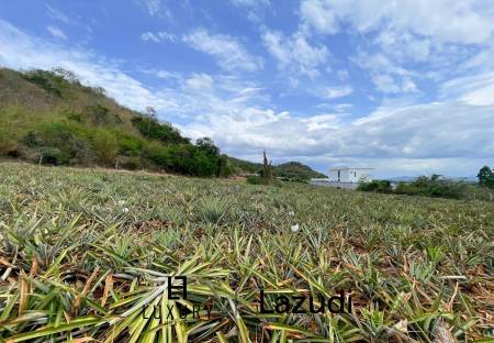 Hillside Land For Sale With Stunning Views