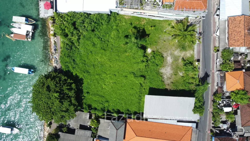 Prestine Ocean Front Freehold Land