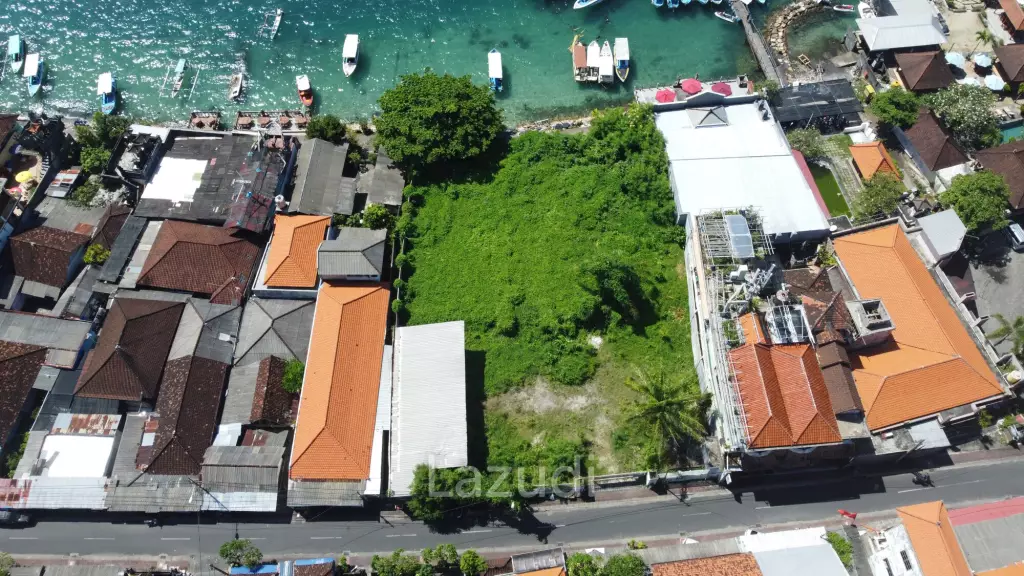 Prestine Ocean Front Freehold Land