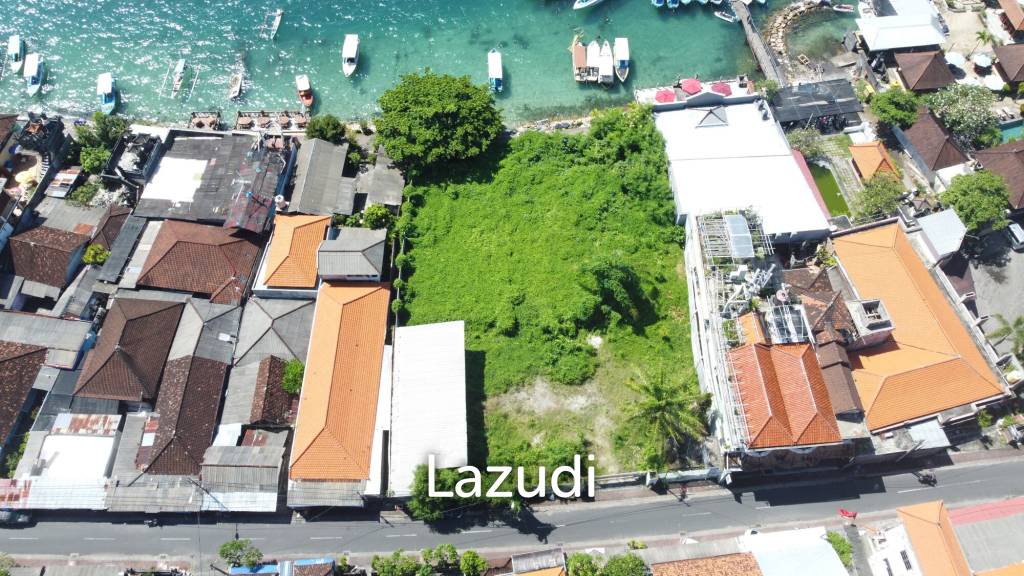 Prestine Ocean Front Freehold Land