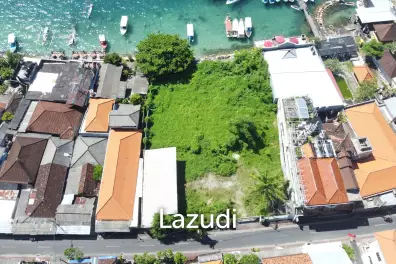 Prestine Ocean Front Freehold Land