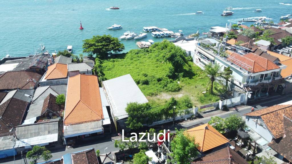 Prestine Ocean Front Freehold Land