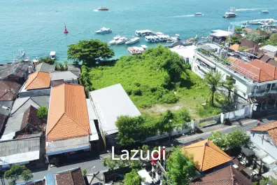 Prestine Ocean Front Freehold Land