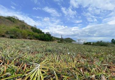 Hillside Land For Sale With Stunning Views