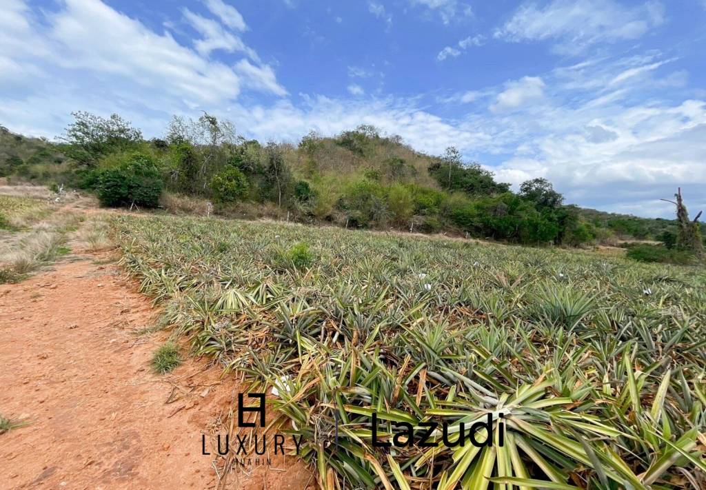 Hillside Land For Sale With Stunning Views