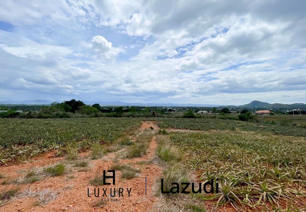 Hillside Land For Sale With Stunning Views