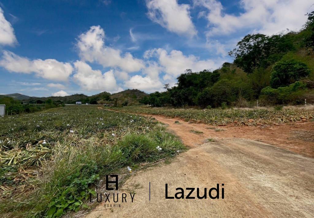 Hillside Land For Sale With Stunning Views