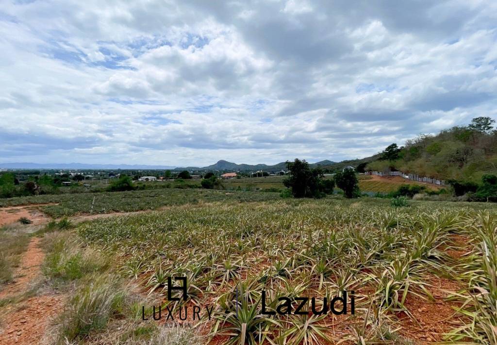 Hillside Land For Sale With Stunning Views