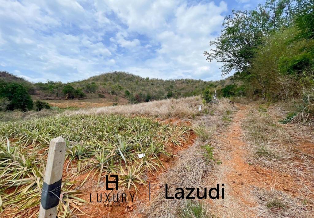 Hillside Land For Sale With Stunning Views