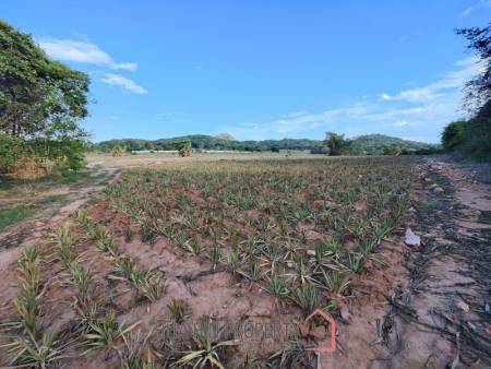 30 Rai Land Plot Next To Hua Hin Safari