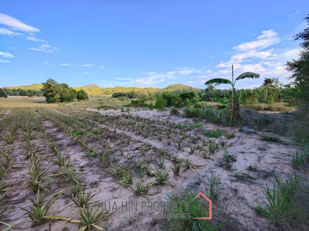 30 Rai Land Plot Next To Hua Hin Safari