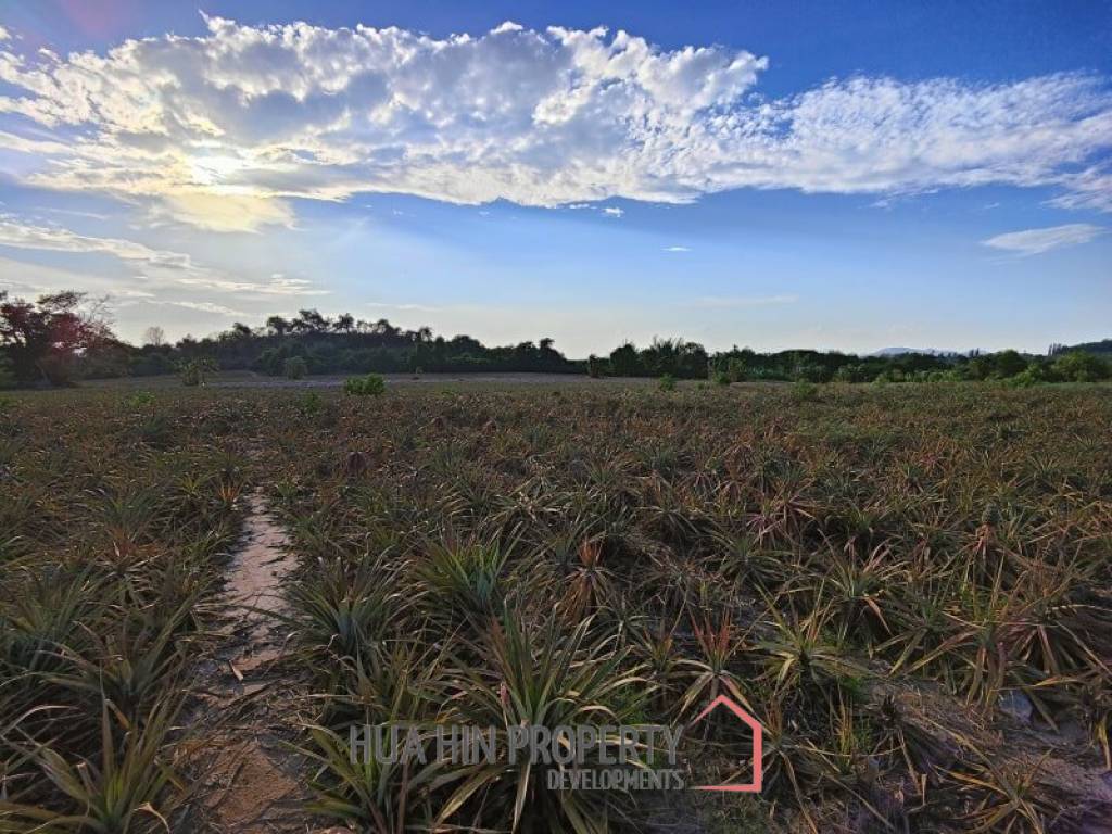 30 Rai Land Plot Next To Hua Hin Safari
