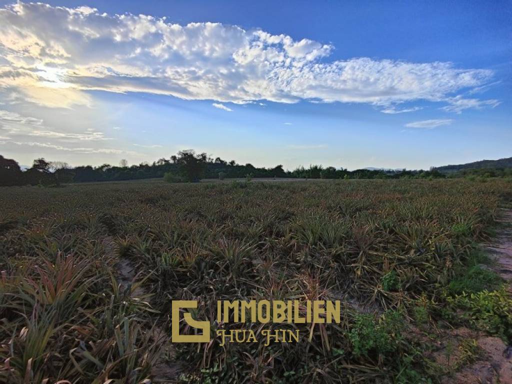 30 Rai Land Plot Next To Hua Hin Safari