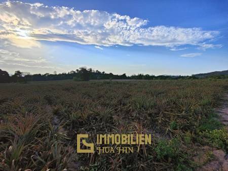 30 Rai Land Plot Next To Hua Hin Safari