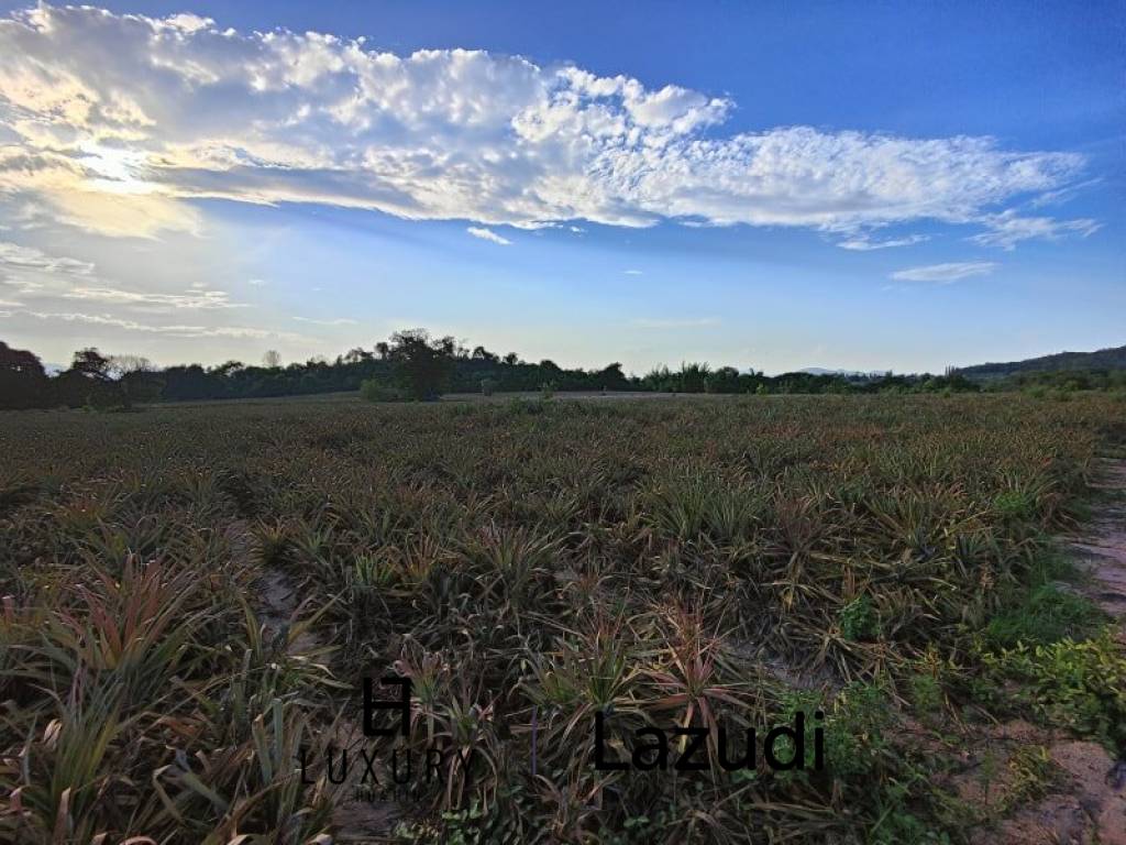 30 Rai Land Plot Next To Hua Hin Safari