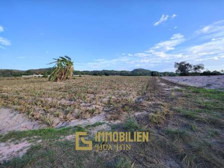 30 Rai Land Plot Next To Hua Hin Safari