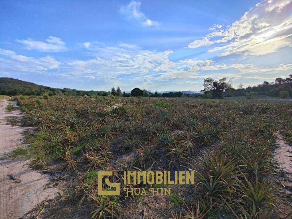 30 Rai Land Plot Next To Hua Hin Safari