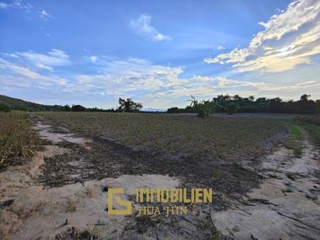 30 Rai Land Plot Next To Hua Hin Safari