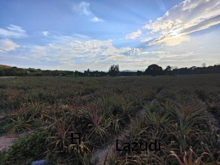 30 Rai Land Plot Next To Hua Hin Safari