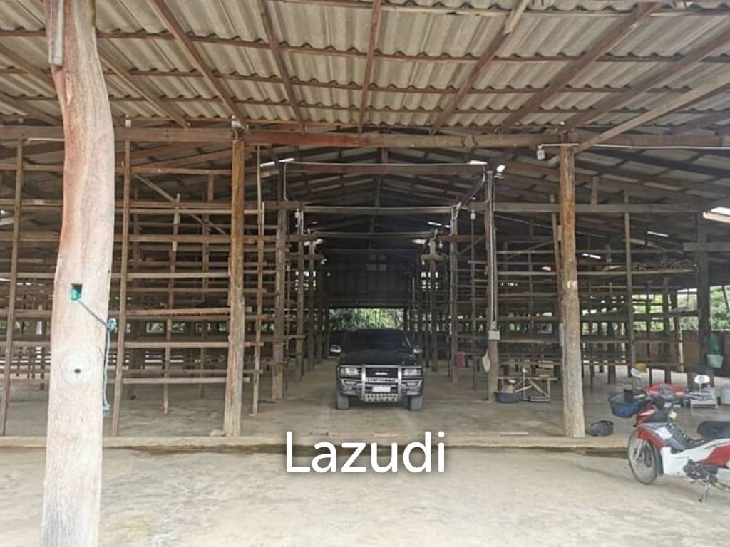 Longan Factory or Warehouse with House