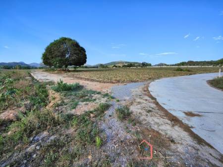30 Rai Land Plot Next To Hua Hin Safari