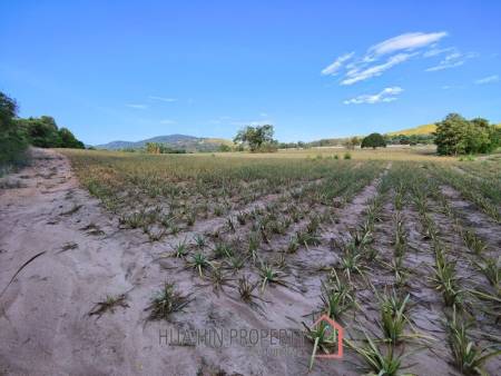 30 Rai Land Plot Next To Hua Hin Safari