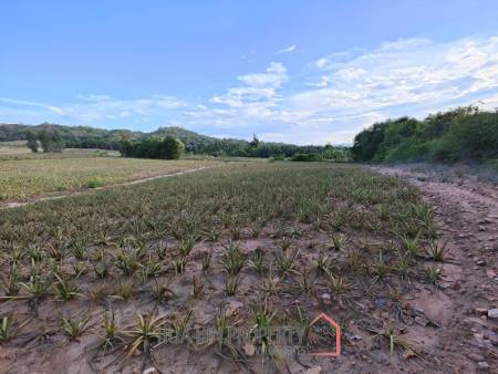 30 Rai Land Plot Next To Hua Hin Safari