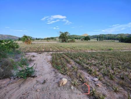 30 Rai Land Plot Next To Hua Hin Safari