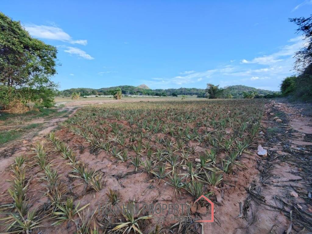 30 Rai Land Plot Next To Hua Hin Safari