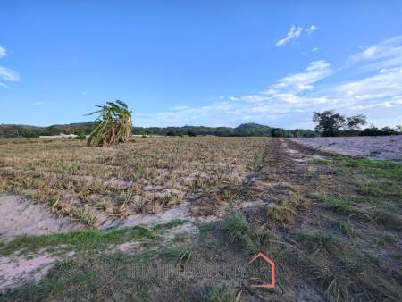 30 Rai Land Plot Next To Hua Hin Safari