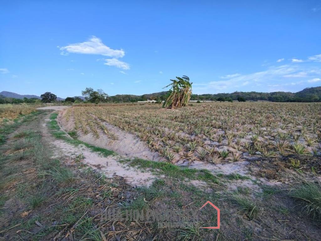 30 Rai Land Plot Next To Hua Hin Safari