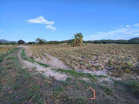 30 Rai Land Plot Next To Hua Hin Safari