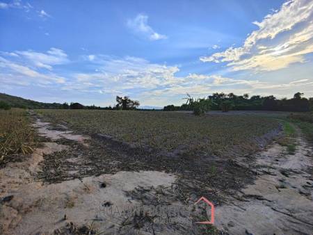 30 Rai Land Plot Next To Hua Hin Safari