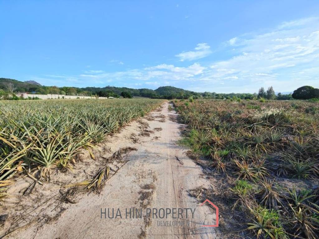 30 Rai Land Plot Next To Hua Hin Safari