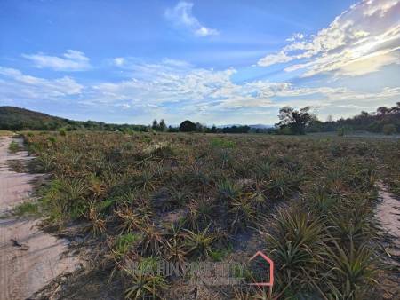 30 Rai Land Plot Next To Hua Hin Safari